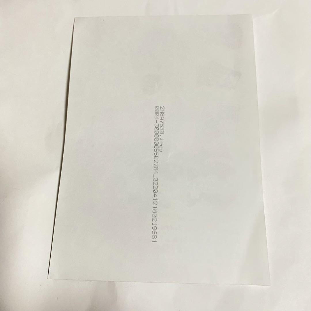 Amazon.co.jp: パンダドラゴン たいが 2L 写真 : Toys & Games